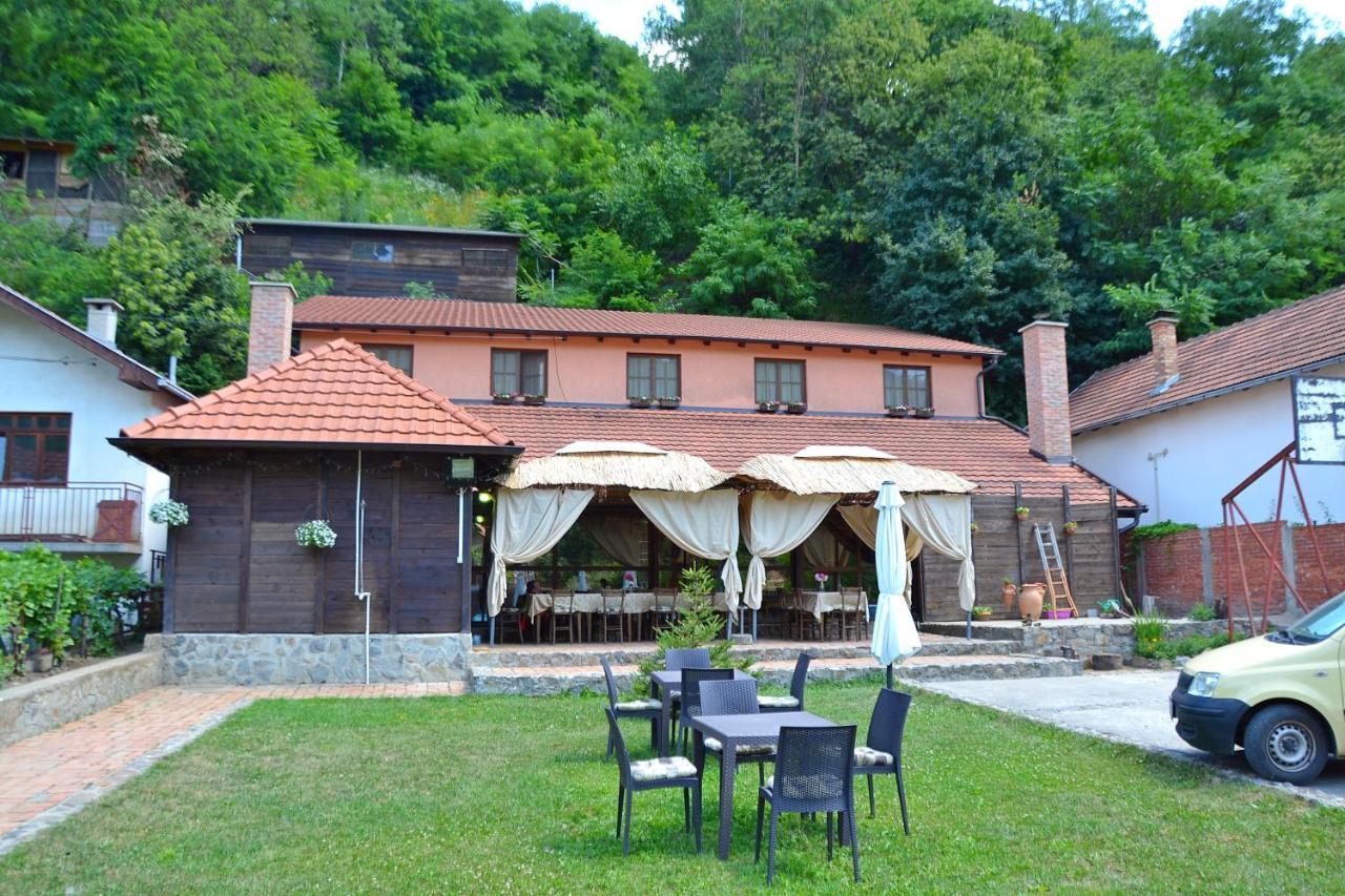 Podrum Miljevic Novi Novi Ledinci Dış mekan fotoğraf
